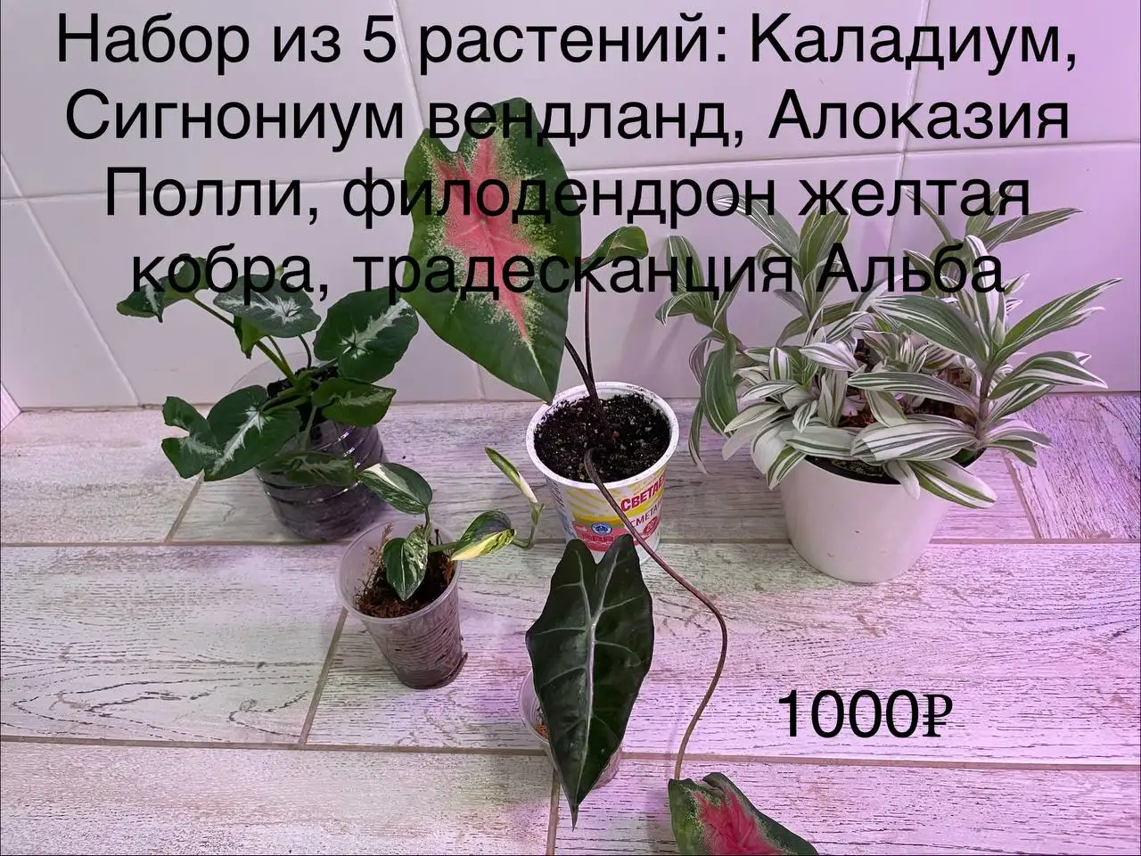 Мамина дача Уфа - Дача (Недвижимость) в Уфа