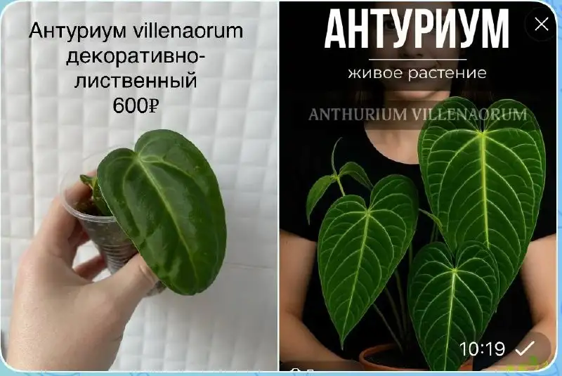 Мамина дача Уфа - Дача (Недвижимость) в Уфа