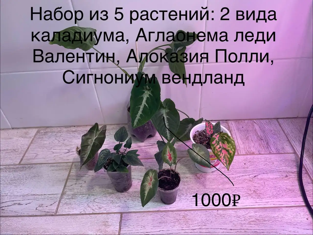 Мамина дача Уфа - Дача (Недвижимость) в Уфа