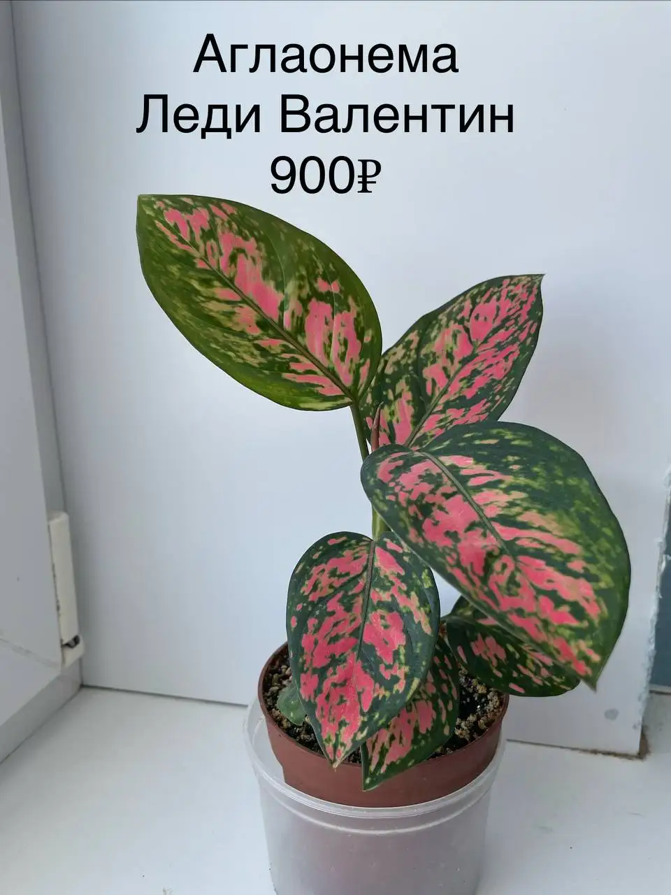 Мамина дача Уфа - Дача (Недвижимость) в Уфа