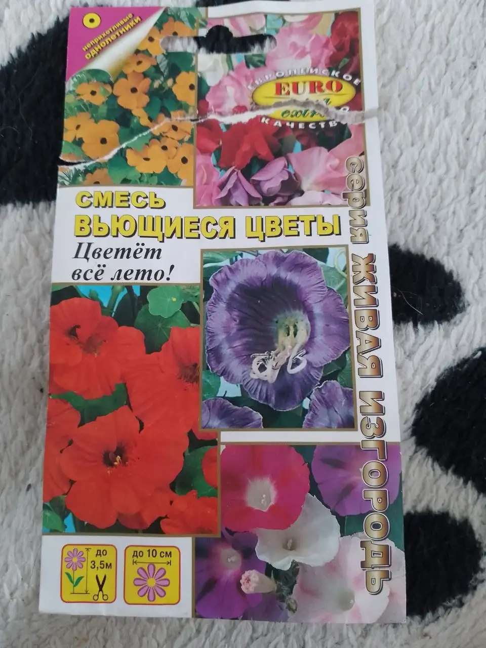 Растения с дачи в Уфе - Растения (Хобби и отдых) в Уфа