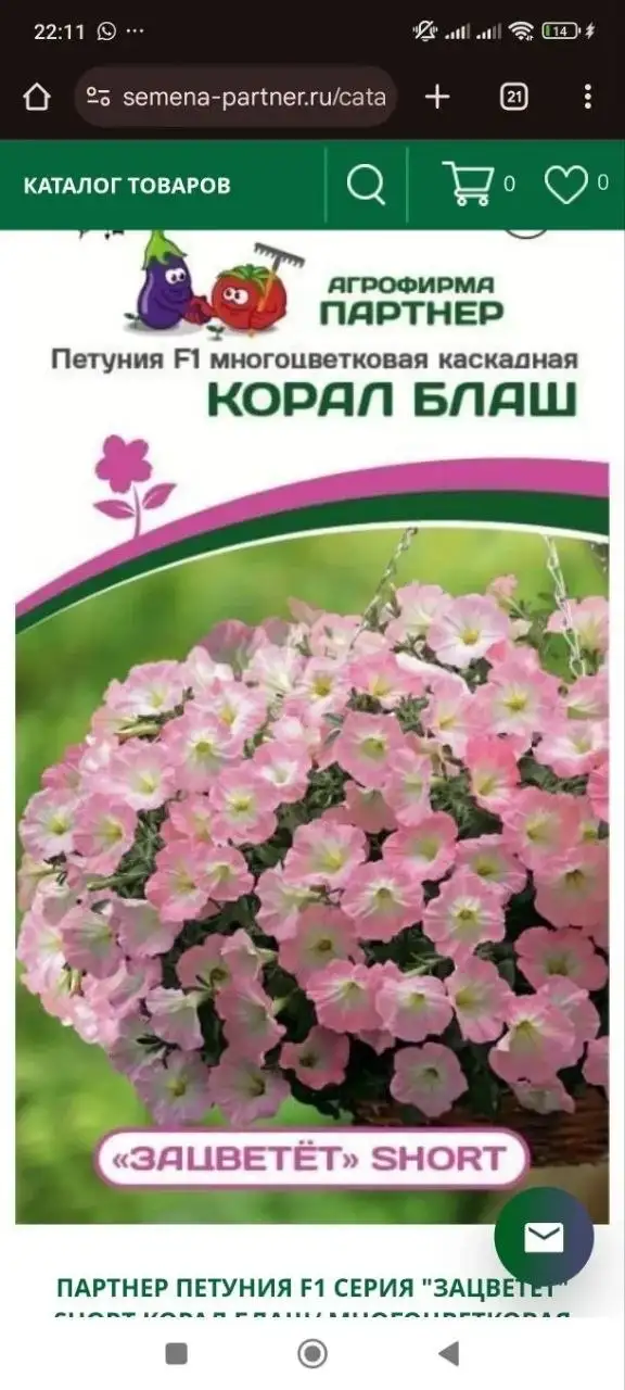 Рассада петунии различных сортов - Растения (Хобби и отдых) в Уфа