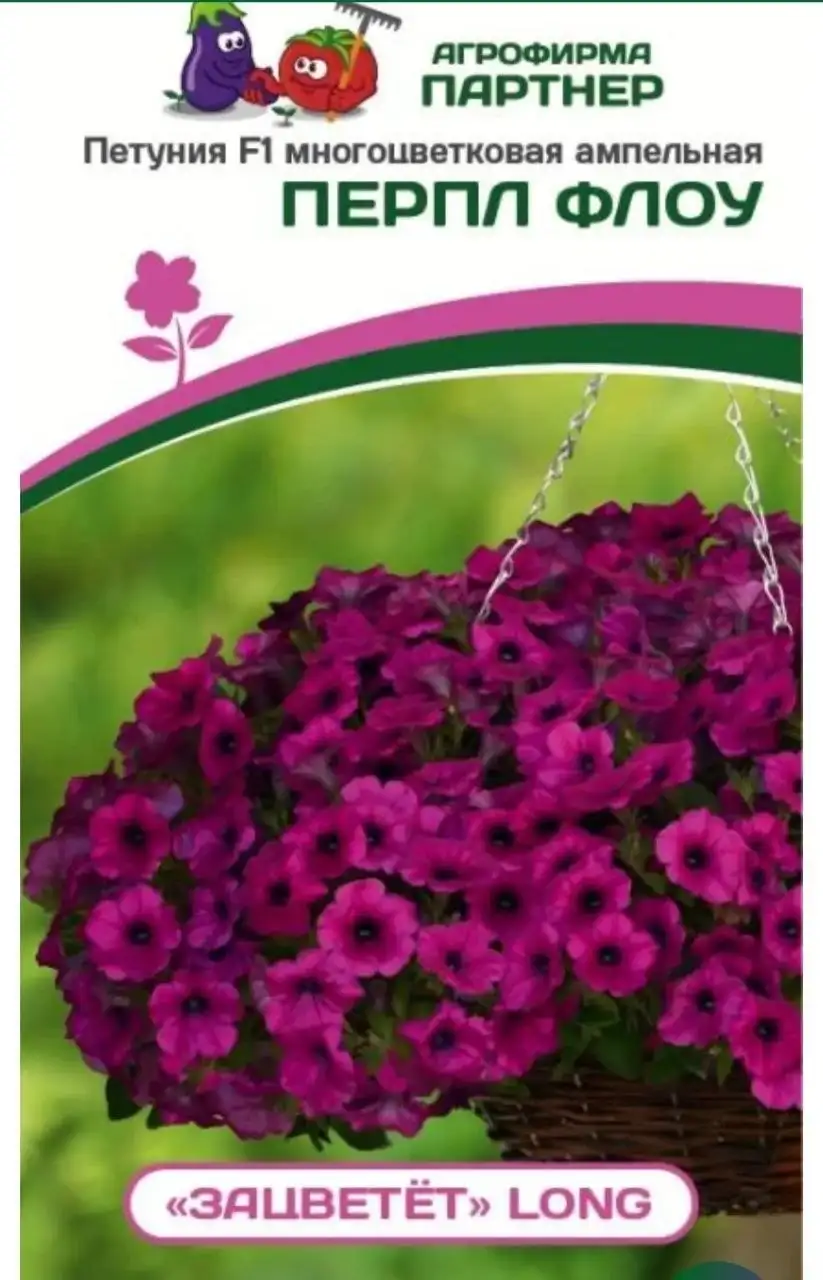 Рассада петунии различных сортов - Растения (Хобби и отдых) в Уфа