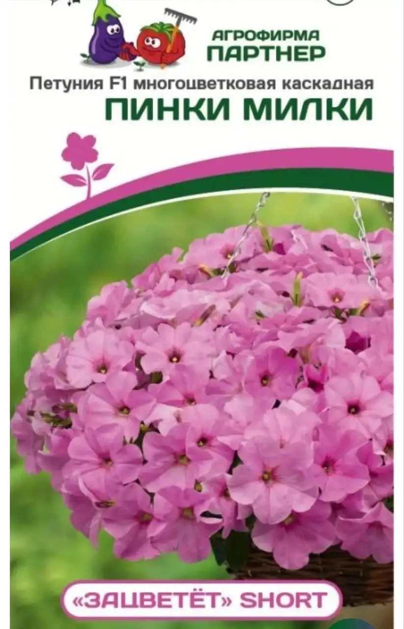 Рассада петунии различных сортов - Растения (Хобби и отдых) в Уфа