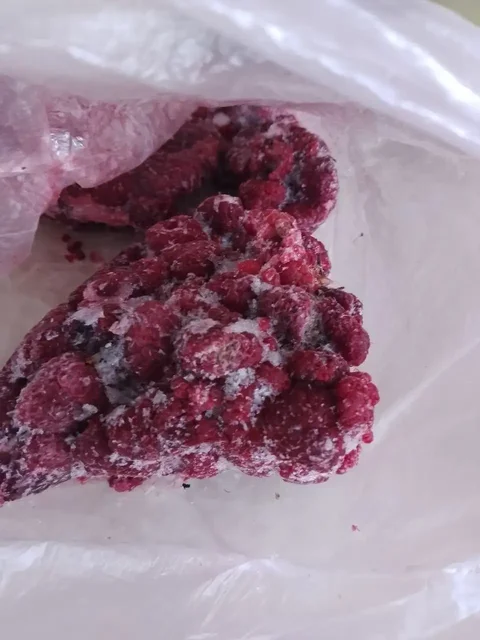 Мороженная малина и клубника с огорода - Грибы в Уфа