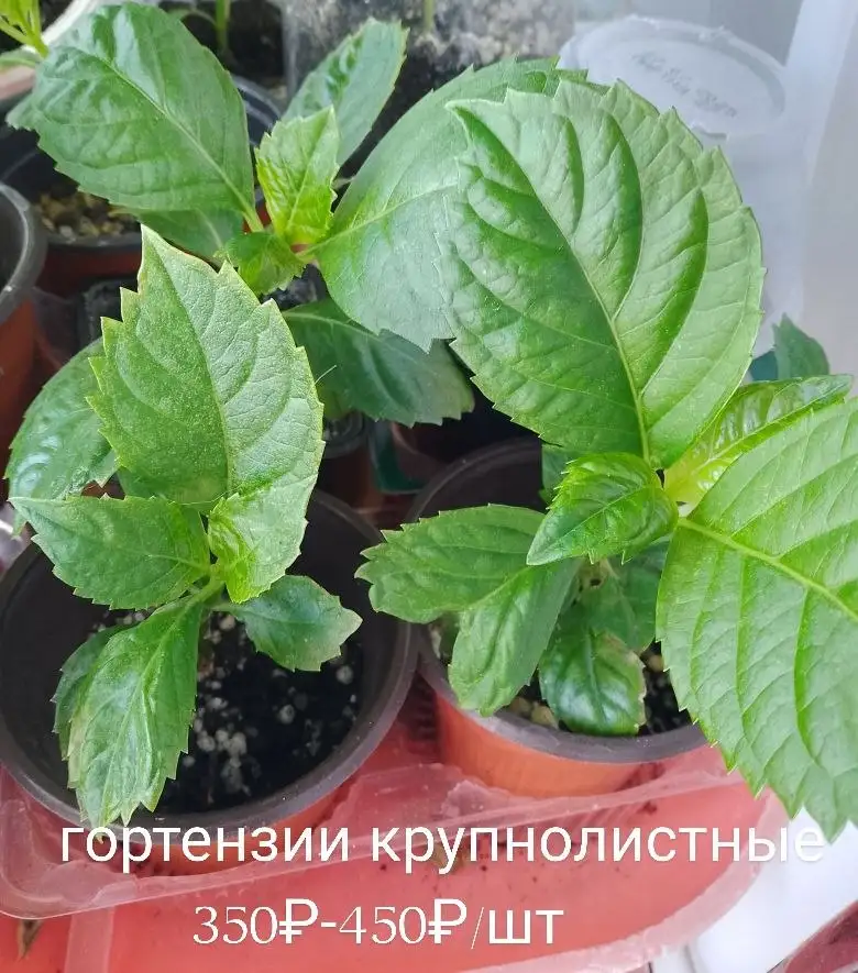 Продажа дома по ул. Нагаево - Дома (Недвижимость) в Уфа