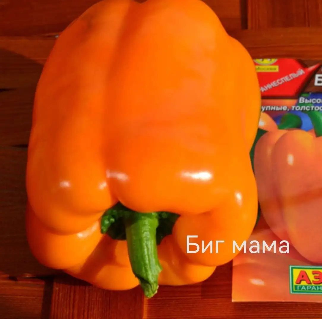 Продажа рассады томатов, перцев, капусты и цветов - Саженцы и рассада (Хобби и отдых) в Уфа