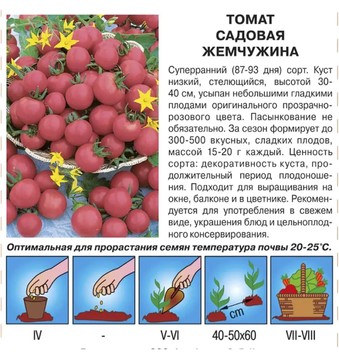 Продажа рассады и растений - Рассада (Работа) в Уфа