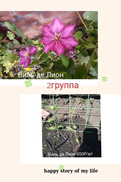 Нагаево, КП Есенинский 2 - Мамина дача - Генераторы в Уфа