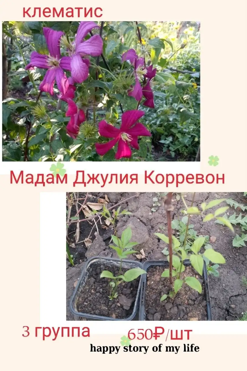 Нагаево, КП Есенинский 2 - Мамина дача - Дача (Для дома и дачи) в Уфа