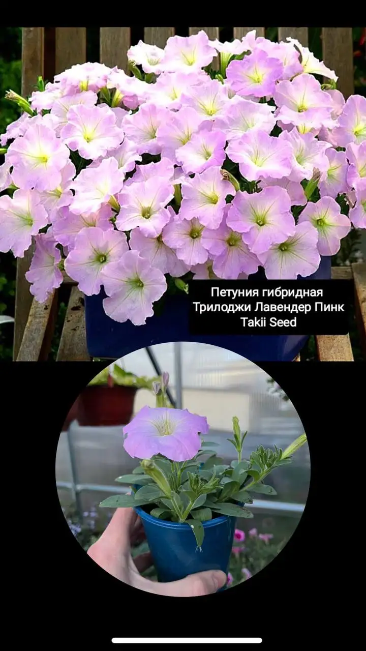 180₽ - Барахолка в Уфа
