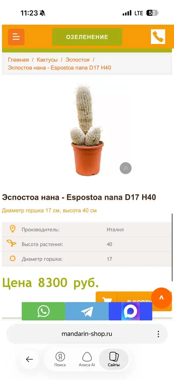Продам растения на Маминой даче - Растения (Для дома и дачи) в Уфа