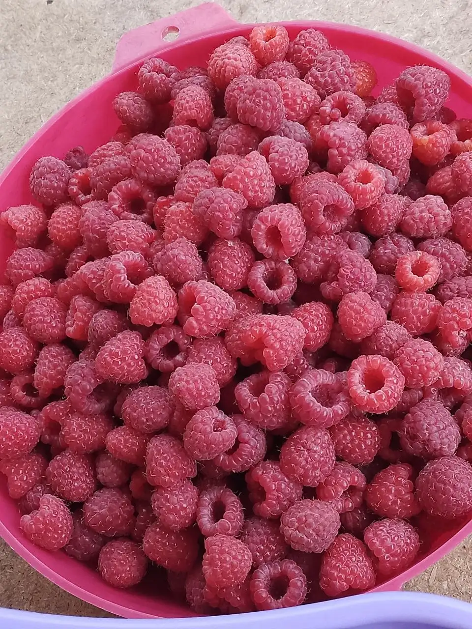Клубника и малина свежие - ягоды (Продукты) в Уфа
