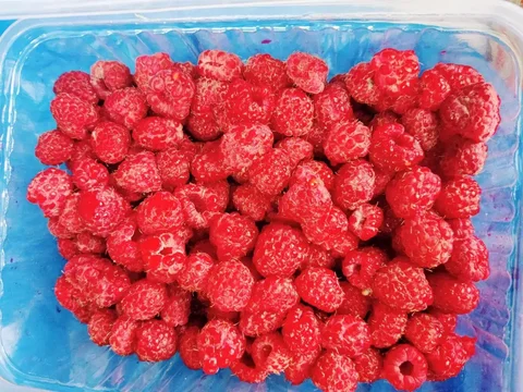Продам малину - Продукты в Уфа