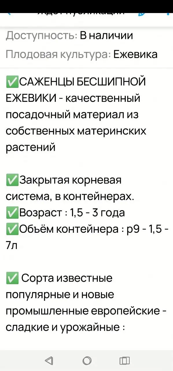 Продажа саженцев ежевики - Саженцы (Растения) в Уфа