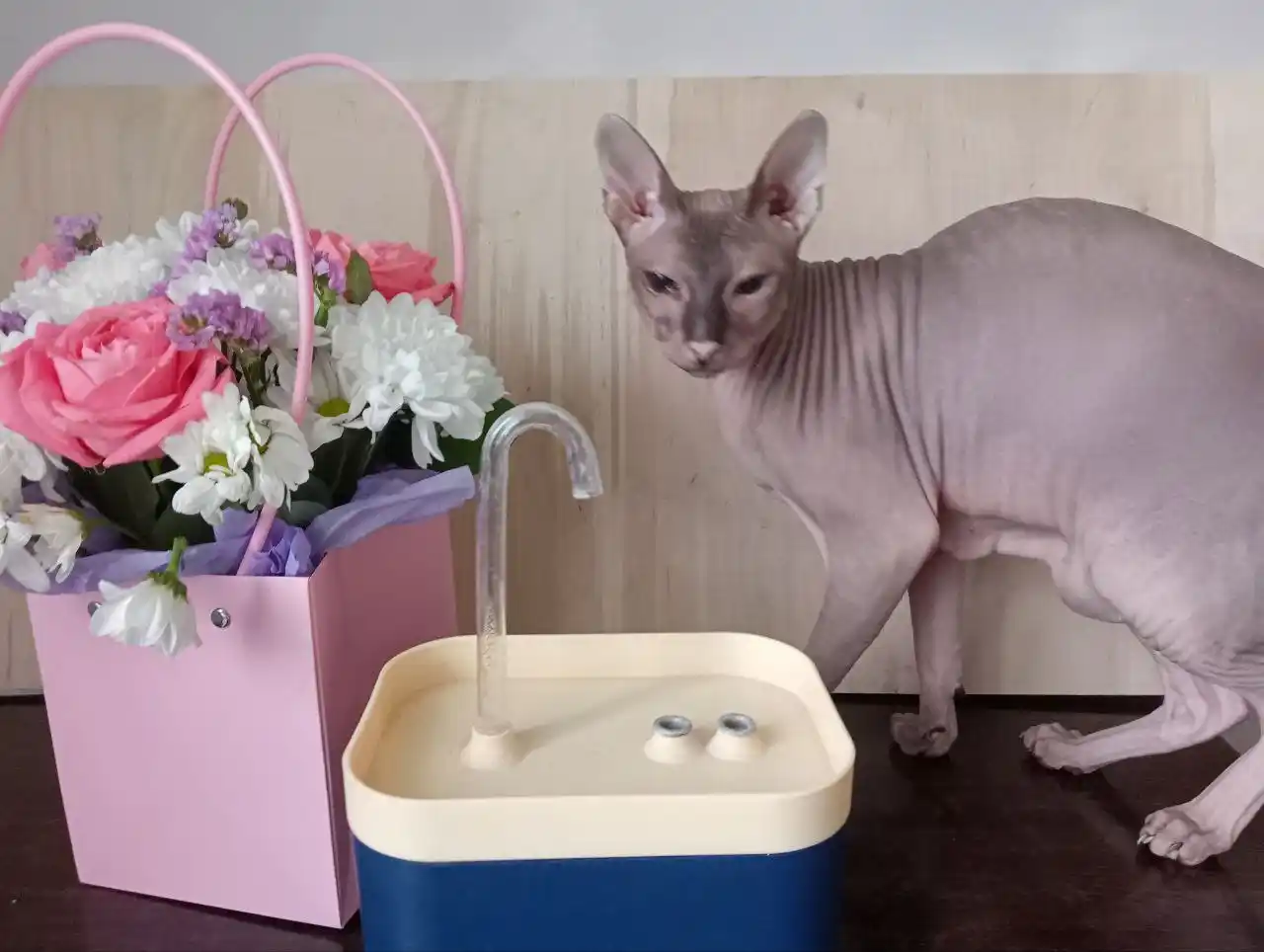 Автопоилка для кошек - Животные в Магнитогорск