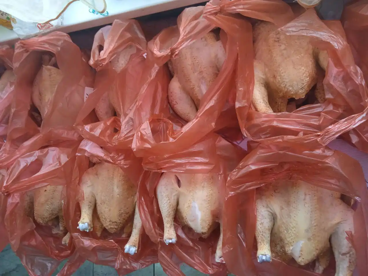 Продажа домашнего бройлера с доставкой