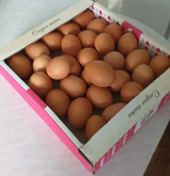 Домашние куриные яйца свежие крупные