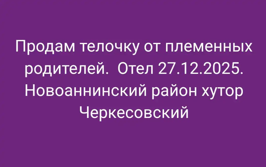 Продажа б/у товаров в Новоаннинском