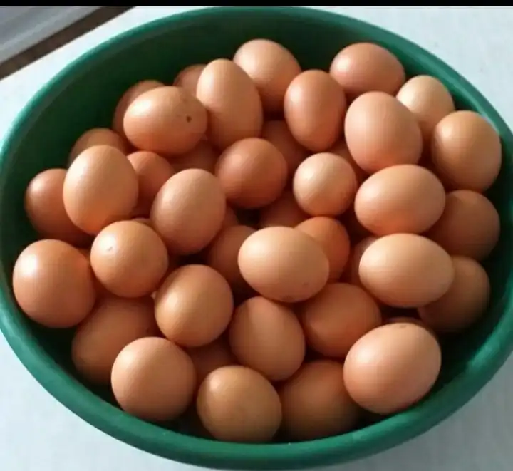 Куриные домашние яйца свежие