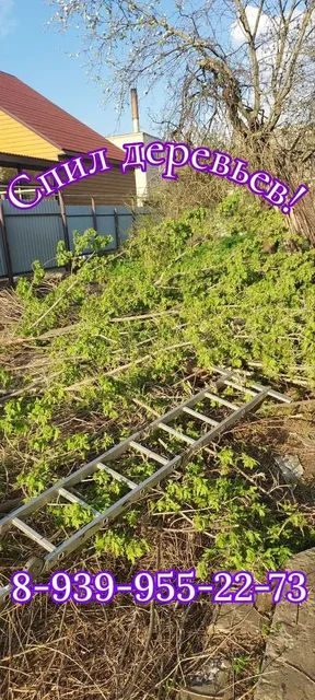 Спил деревьев, вывоз мусора, снос строений, отделочные работы - Кулинарные услуги в Новоаннинский