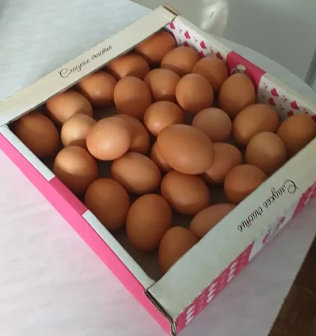 Куриные домашние яйца свежие крупные - Детская мебель в Новоаннинский