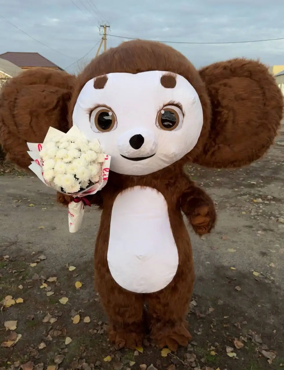 Ростовые куклы на праздник - Аниматоры (Услуги) в Новоаннинский