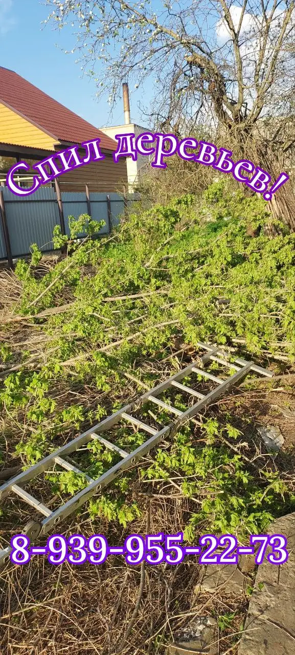 Услуги по спилу деревьев, вывозу мусора и отделке - Ремонт и строительство (Услуги) в Новоаннинский