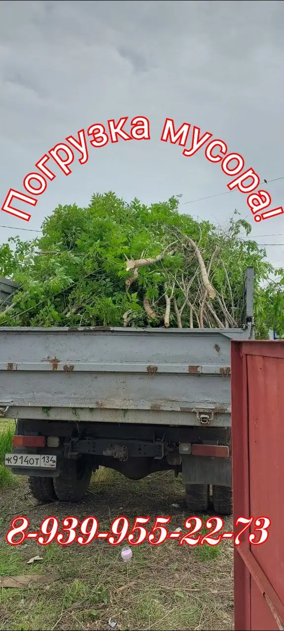 Услуги по спилу деревьев, вывозу мусора и отделке - Ремонт и строительство (Услуги) в Новоаннинский