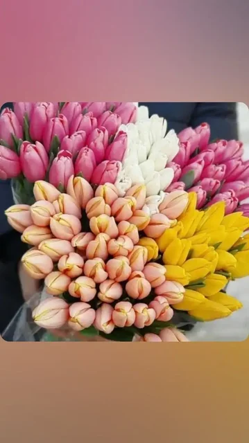 Предложение букетов к 8 марта в Новоаннинском - Недвижимость в Новоаннинский