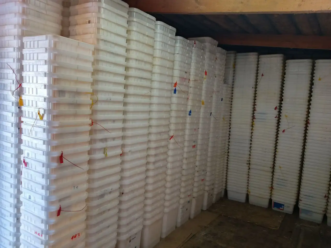 Куботейнеры 23 и 14 литров с крышками - Тара и упаковка (Барахолка) в Новоаннинский