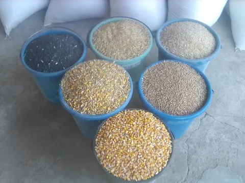 Продажа зерновых культур и кормов в мешках - Растения и семена в Новоаннинский