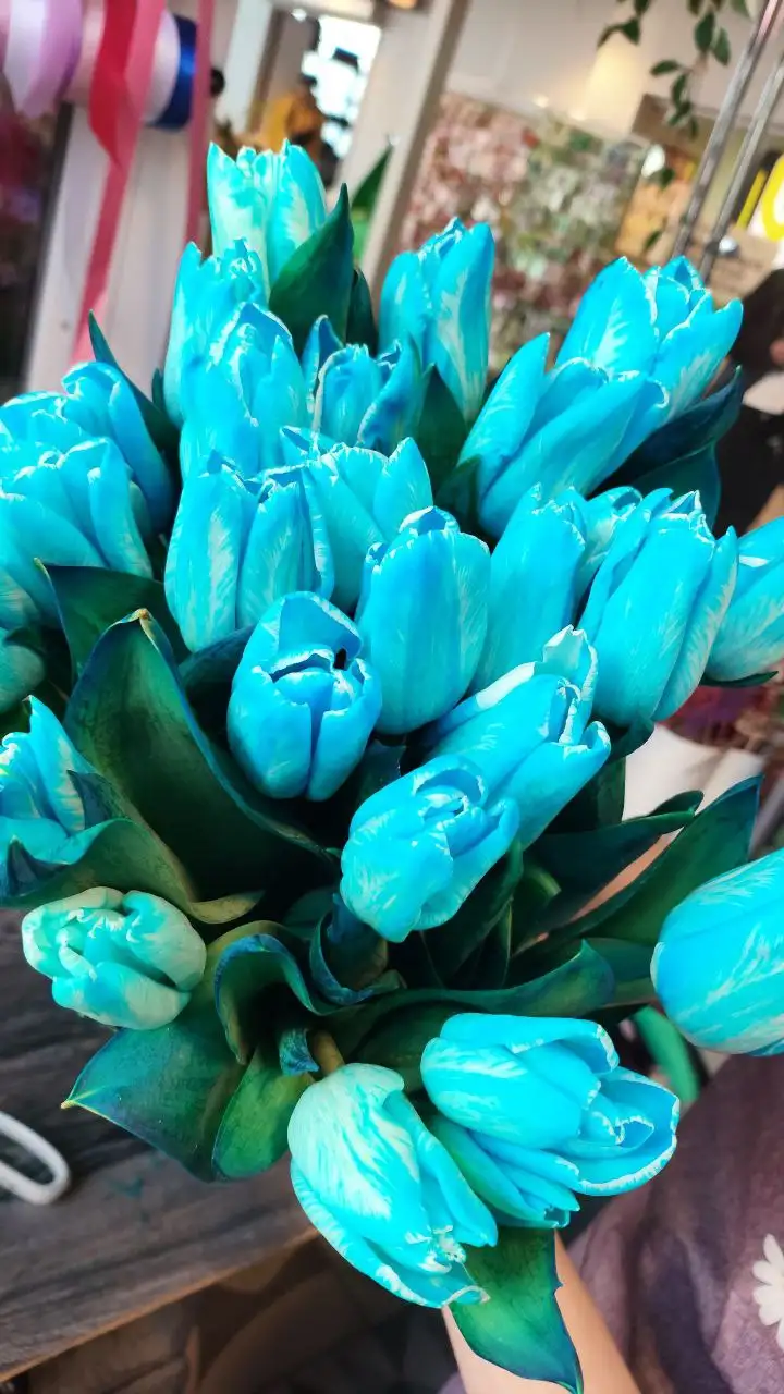 Предзаказ цветов к 8 марта от отдела Ново Цветы - Цветы (Барахолка) в Новоаннинский