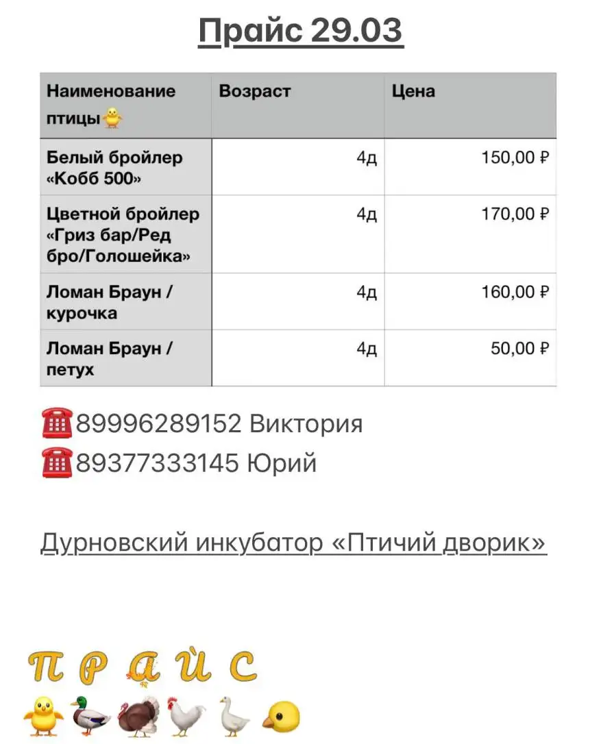 Продажа молодняка птицы и товаров для птицеводства в Дурновском - Птица (Животные) в Новоаннинский