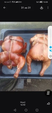 Продам копченую курочку - Сельхозтехника в Новоаннинский