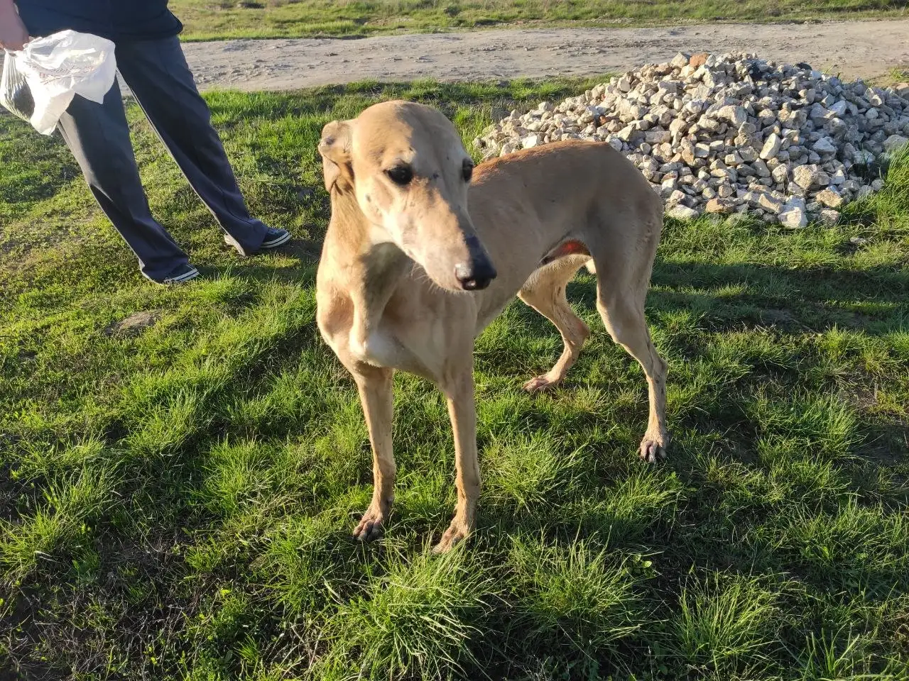 Кто потерял? - Барахолка в Новоаннинский