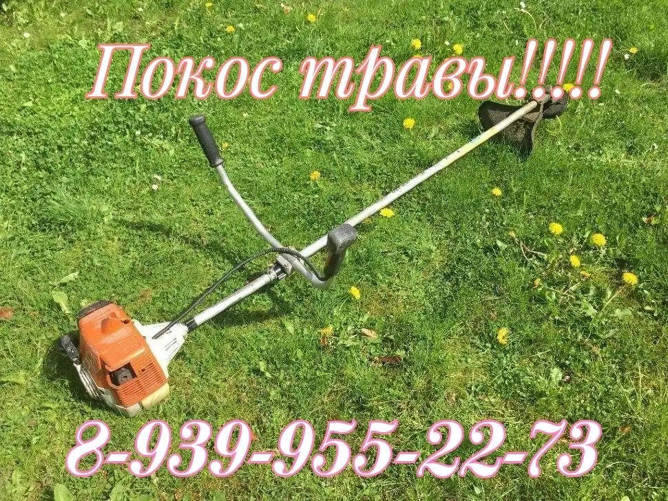 Услуги по спилу деревьев и уборке территории - Бытовые услуги (Услуги) в Новоаннинский