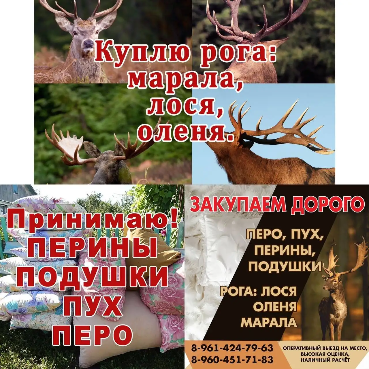 Скупка перьевых перин, подушек и рогов лося - Барахолка в Новоаннинский