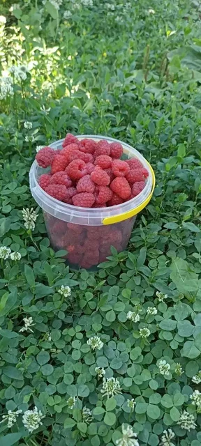 Барахолка в Новоаннинском - Консоли и игры в Новоаннинский