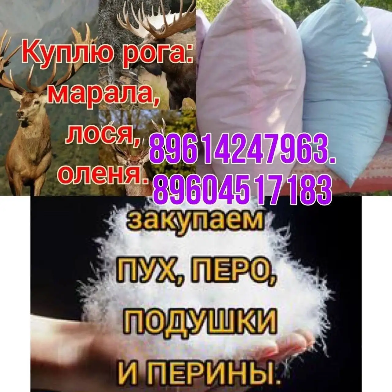 Скупка старых перин, подушек и рогов - Скупка (Барахолка) в Новоаннинский