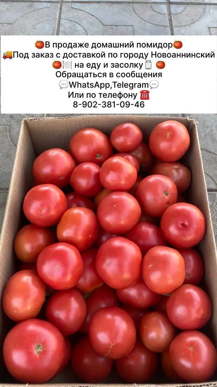 Продажа домашних овощей: огурцы, помидоры, перец, чеснок с доставкой - Продукты питания (Барахолка) в Новоаннинский