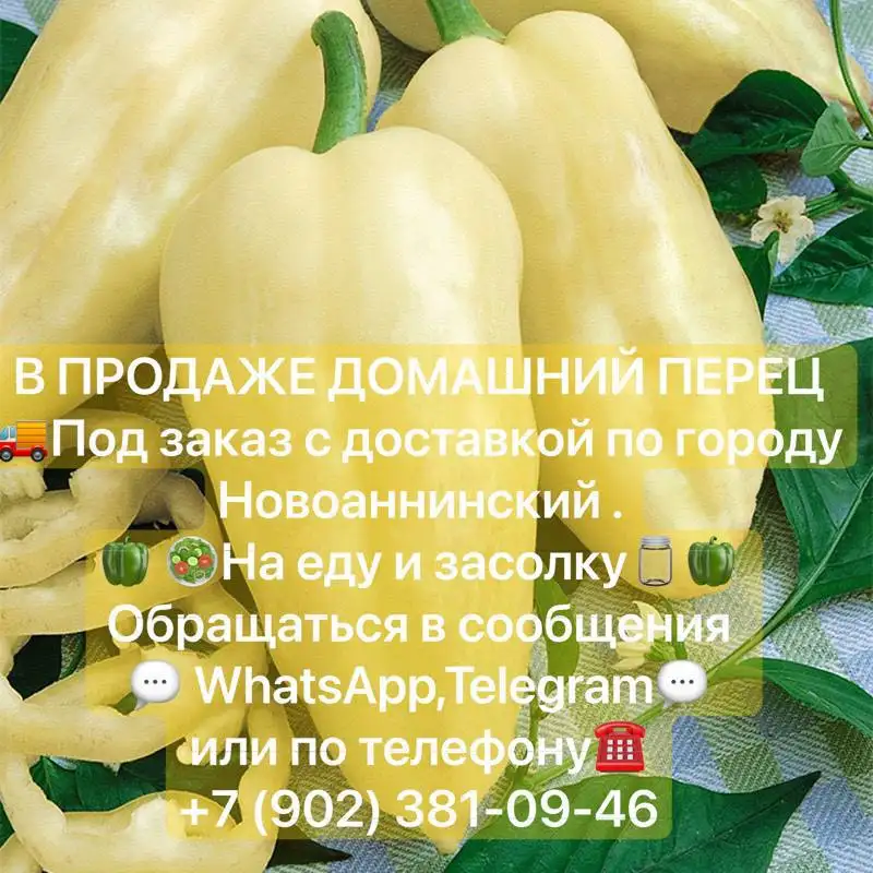 Продажа домашних овощей: огурцы, помидоры, перец, чеснок с доставкой - Продукты питания (Барахолка) в Новоаннинский
