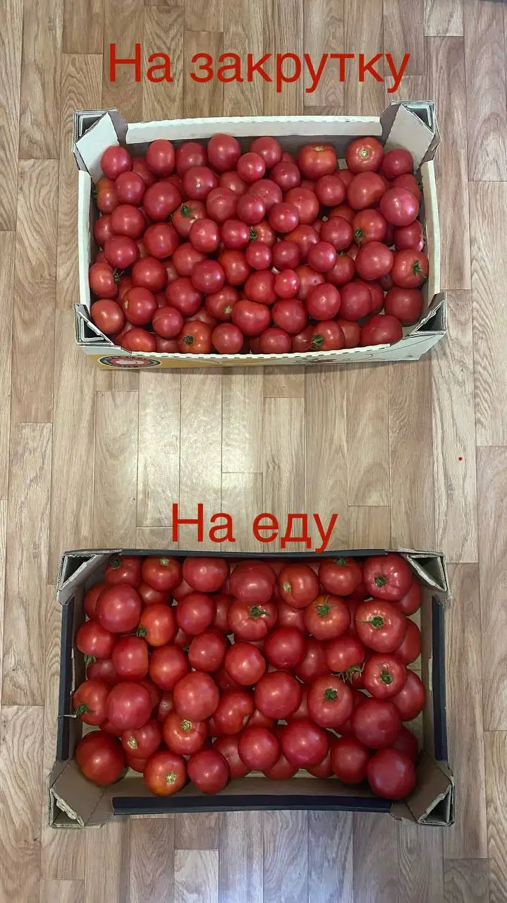 Продажа домашних овощей: огурцы, помидоры, перец, чеснок с доставкой - Продукты питания (Барахолка) в Новоаннинский