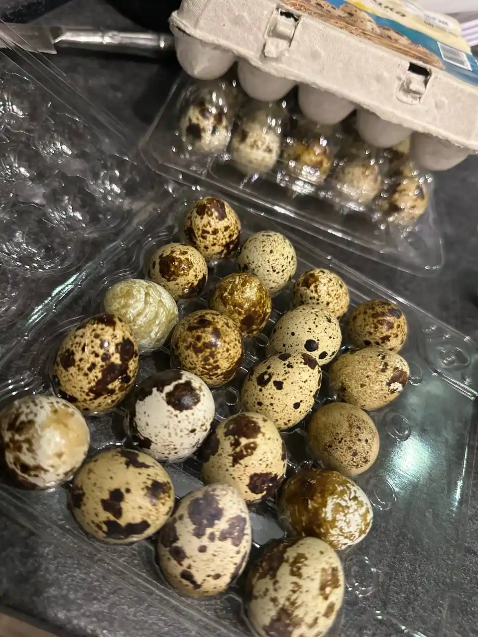 Домашние перепелиные яйца - Животные в Воронеж