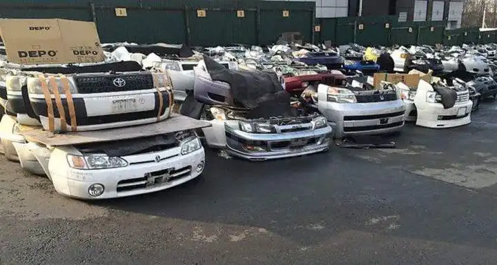 Новое поступление ноускатов