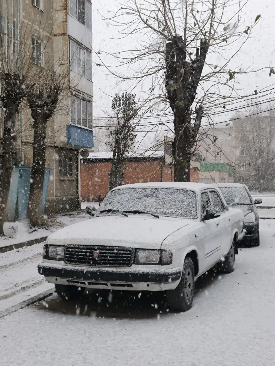 Волга 31029 1994г.в с запчастями от 31105