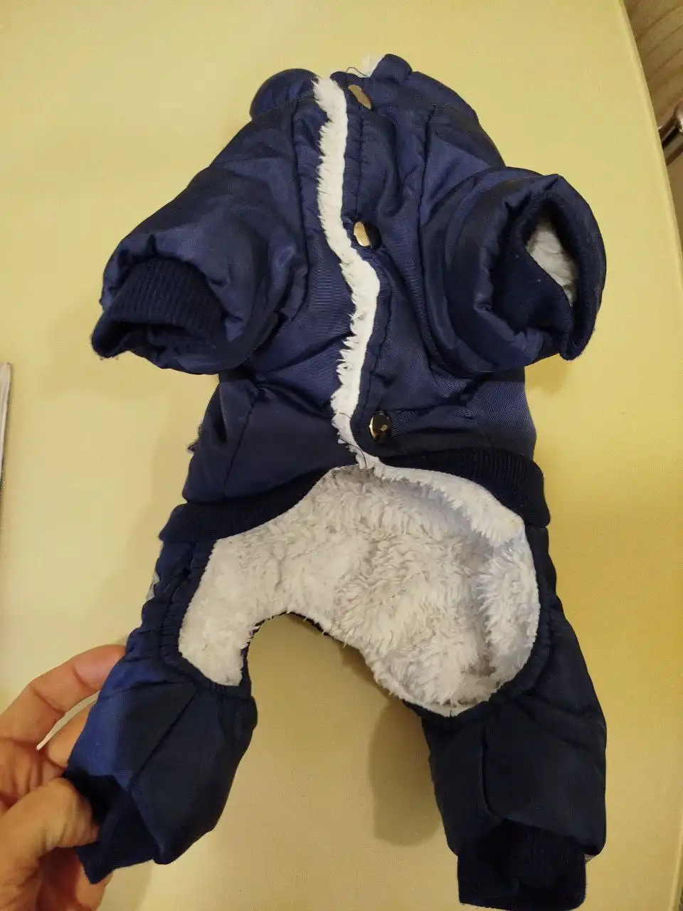 Комбинезон для мелкопородной собаки