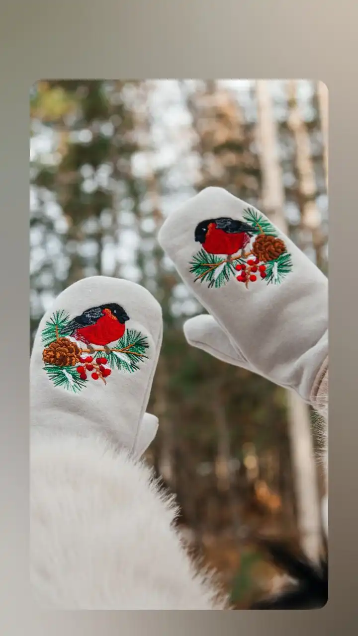 Тёплые варежки с вышивкой