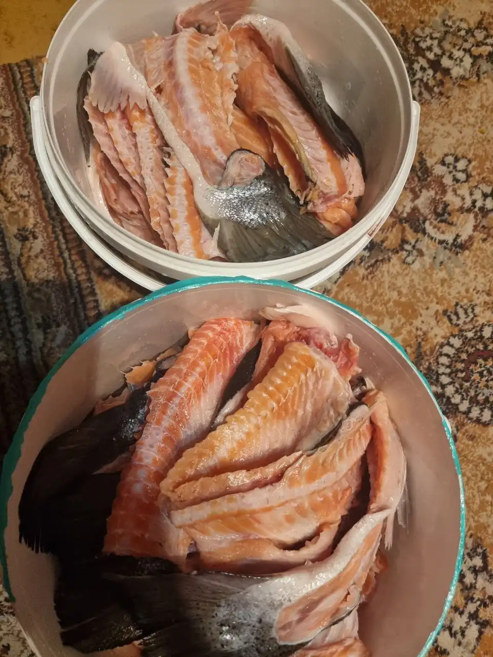 Запчасти от сёмги свежие 2 ведра по 13кг
