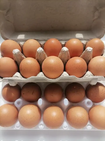 Продажа домашних куриных яиц - Барахолка в Нижневартовск